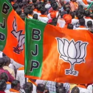 bjp supporters
