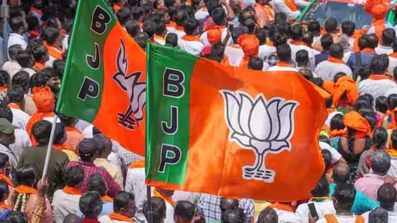 bjp supporters